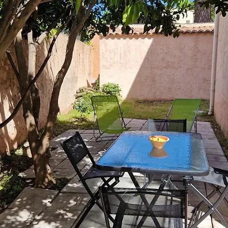 Apartment : 2 Pieces, Jardin Prive, Proche Et Port, Wifi, Parking - Fr-1-335-161 *