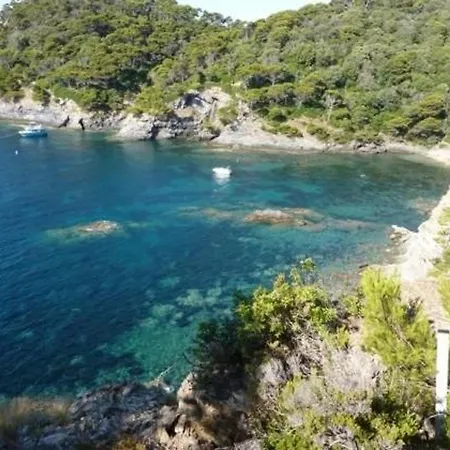 Appartamento : 2 Pièces, Jardin Privé, Proche Et Port, Wifi, Parking - Fr-1-335-161