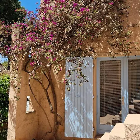 شقة : 2 Pieces, Jardin Prive, Proche Et Port, Wifi, Parking - Fr-1-335-161 Hyères