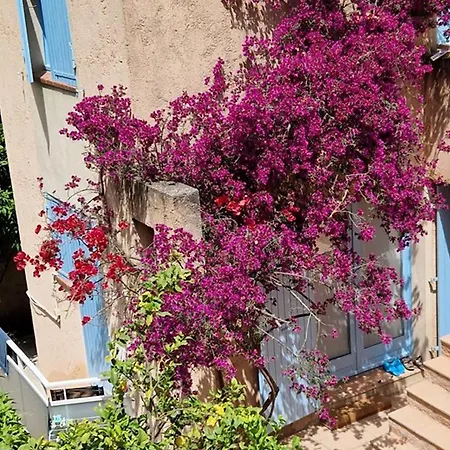 : 2 Pieces, Jardin Prive, Proche Et Port, Wifi, Parking - Fr-1-335-161 Apartamento *