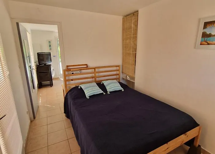 : 2 Pieces, Jardin Prive, Proche Et Port, Wifi, Parking - Fr-1-335-161