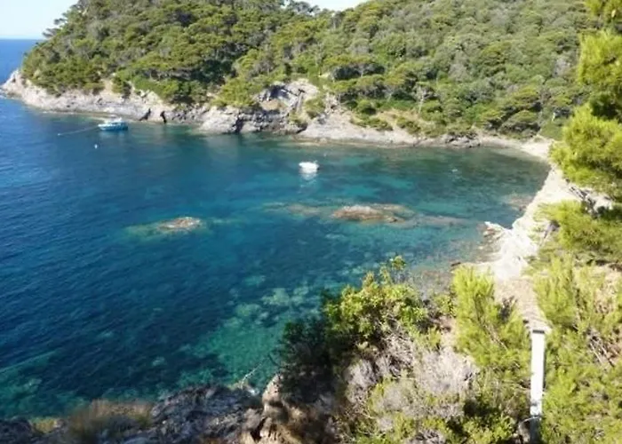 Apartamento : 2 Pieces, Jardin Prive, Proche Et Port, Wifi, Parking - Fr-1-335-161