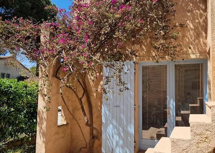 Appartamento : 2 Pièces, Jardin Privé, Proche Et Port, Wifi, Parking - Fr-1-335-161 Hyères
