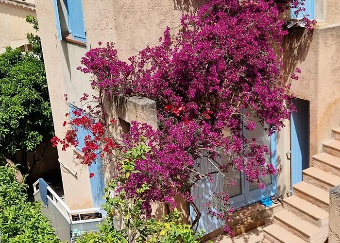 : 2 Pièces, Jardin Privé, Proche Et Port, Wifi, Parking - Fr-1-335-161 Appartamento *